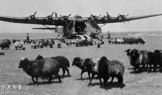 Loại máy bay này có chiều dài 28,2 mét, sải cánh rộng 55,2 mét, cao tới 10,15 mét và có diện tích mặt cánh 300 mét vuông. Trọng lượng rỗng của Me 323 đã lên tới 27,3 tấn và trọng lượng cất cánh tối đa của nó lên tới 43 tấn. Nguồn ảnh: Jsvoc.