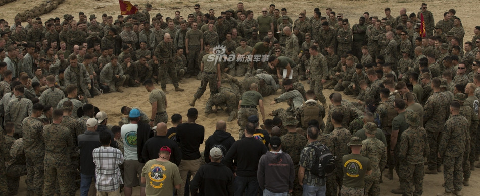 Có cả môn vật tự do. Nguồn ảnh: DVDhub.