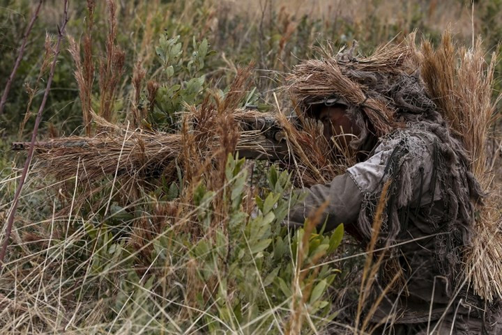 ... hoặc những đám cỏ dại mọc um tùm.