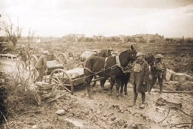 Sau khi cuộc chiến tranh Thế giới thứ nhất kết thúc, toàn bộ các chiến thuật, chiến lược và học thuyết chiến tranh của toàn châu Âu đã phải viết lại do không còn hợp thời. Nguồn ảnh: Sina.