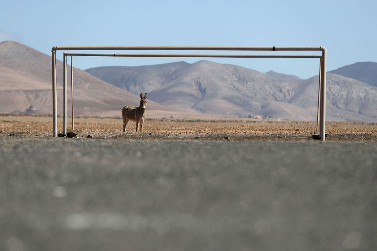 Dấu hiệu duy nhất cho biết đây đã từng là sân bóng đá chính là chiếc khung thành còn sót lại. Ảnh chụp tại Las Parcelas, Tây Ban Nha. Nguồn ảnh: TA.
