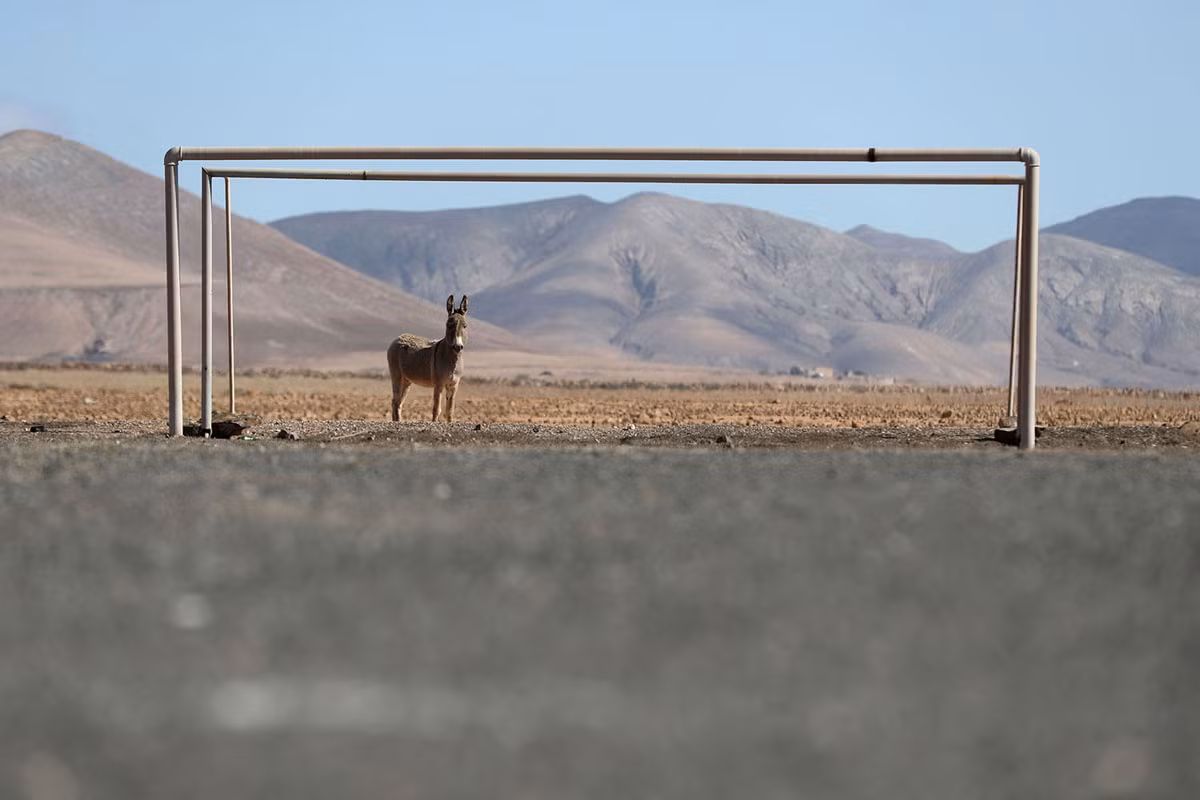 Dấu hiệu duy nhất cho biết đây đã từng là sân bóng đá chính là chiếc khung thành còn sót lại. Ảnh chụp tại Las Parcelas, Tây Ban Nha. Nguồn ảnh: TA.