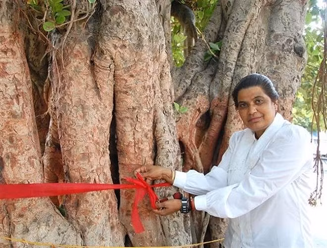 7. Seema Parihar: “Nữ hoàng cướp giật” thực hiện 200 vụ bắt cóc, 70 vụ giết người và 30 vụ cướp trong “sự nghiệp” kéo dài 18 năm. Năm 2000, sau khi bị bắt và kết án tù, cựu nữ hoàng cướp giật tái hoà nhập cộng đồng và sống lương thiện.