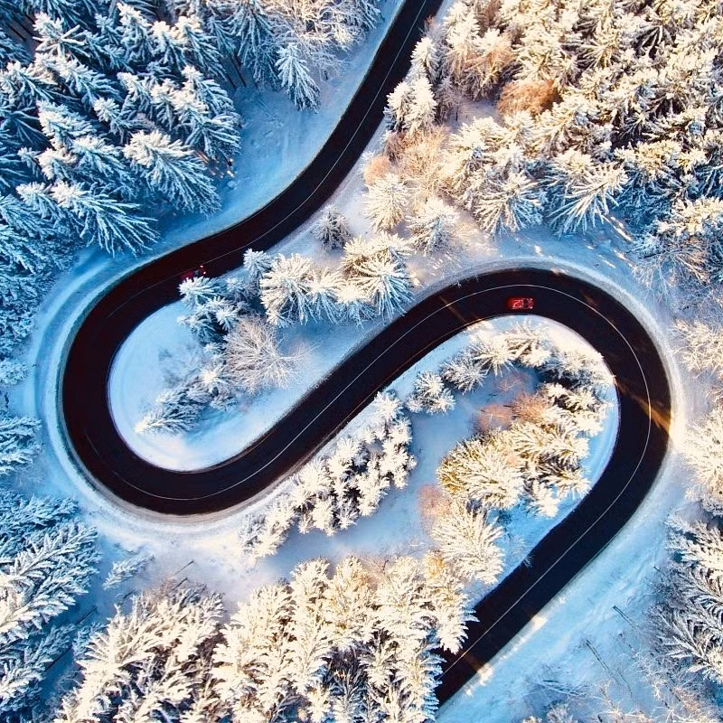 Con đường huyền thoại Transylvania ở Romania hóa con giun đen nâu khổng lồ khi nhìn từ trên cao.