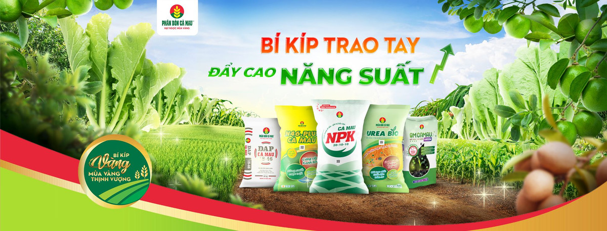 Phan bon Ca Mau duoc vinh danh Top 10 thuong hieu manh