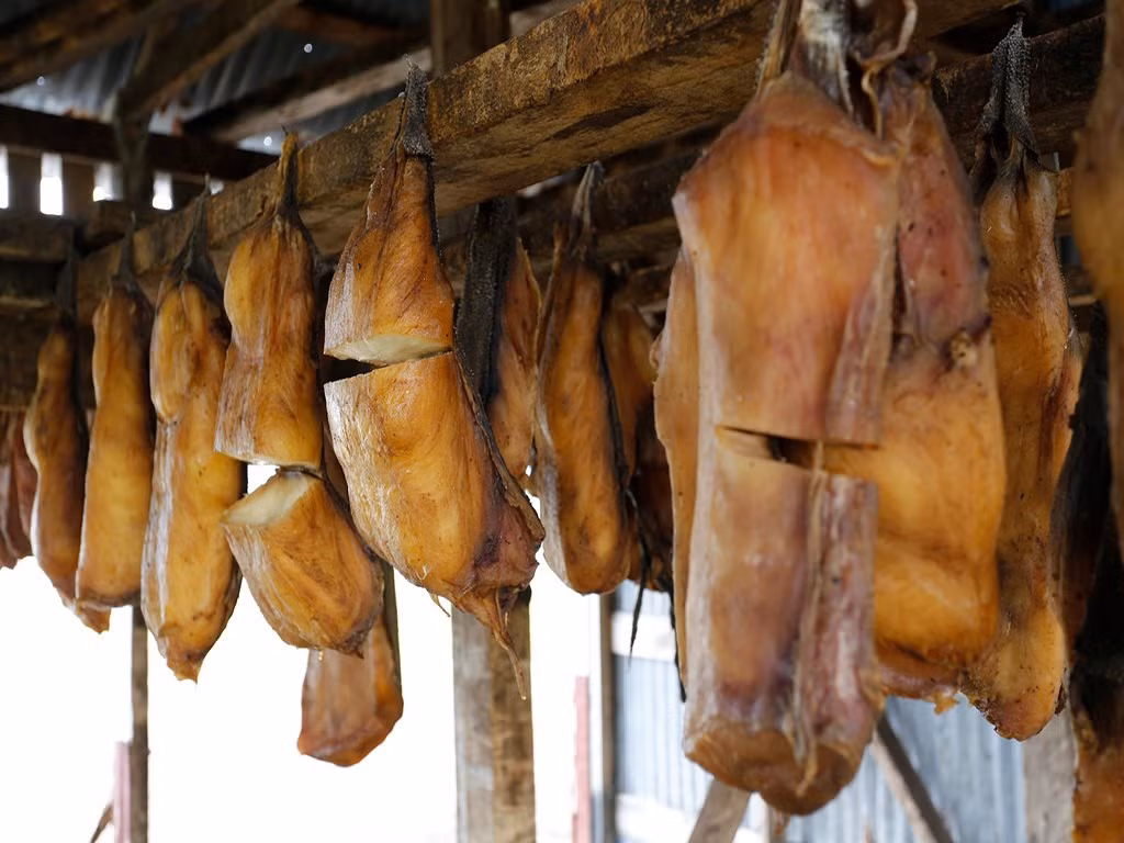  Hákarl, Iceland: Món ăn truyền thống của người Iceland được làm từ thịt cá mập và được bình chọn là một trong những món ăn đáng sợ nhất thế giới do mùi và vị khó chịu. Cá mập Greenland được chặt đầu, làm sạch, chôn dưới cát và chất đá lên trên để ép nước ra. Cá được để khoảng 6-12 tháng trước khi đem xẻ thịt và treo lên phơi khô trong nhiều tháng. Ảnh: Matador Network.