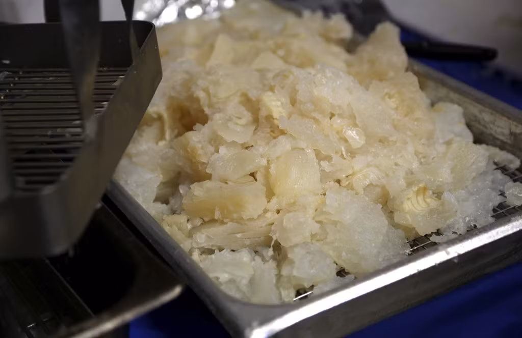  Lutefisk, Na Uy: Cá hồi trắng được phơi khô, ngâm trong nước kiềm để tạo độ dai, sau đó cho vào nước để loại bỏ kiềm trước khi nấu. Lutefisk nổi tiếng vì có mùi nồng nặc và có thể phá hủy hợp kim bạc 925. Ảnh: Star Tribune.