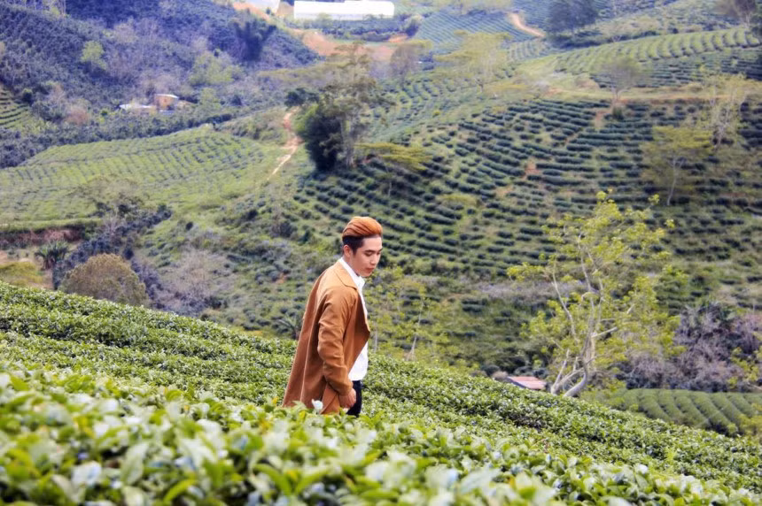 Cách trung tâm thành phố 25 km, đồi chè Cầu Đất là điểm đến yêu thích của nhiều người khi ghé thăm Đà Lạt. Tới đây, du khách sẽ được hòa mình vào bầu không khí trong lành, rộng lớn, của đồng chè xanh mướt, với lấp lánh nắng vàng hay sương mù bảng lảng. Ảnh: Trịnh Minh Thành
