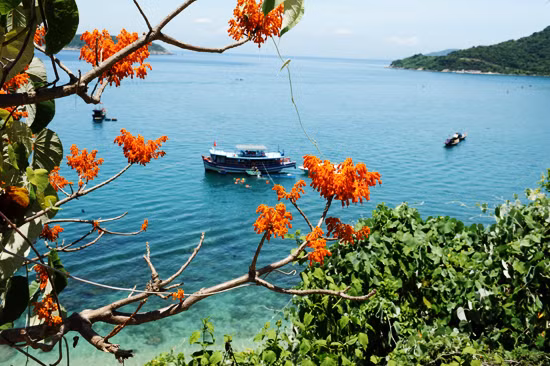 Sắc hoa tươi thắm, như một bức tranh tuyệt đẹp trên đảo Cù Lao Chàm.