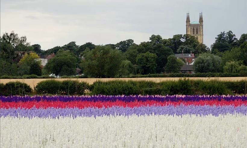 Các Vườn Hoa Giấy nằm ở Manor Wyke Estate gần Pershore, Worcestershire, cách thủ đô London 1 tiếng rưỡi lái xe. Còn trang trại Hoa oải hương Cotswolds nằm ở Snowshill, cách Vườn Hoa Giấy 20 phút lái xe, nên bạn có thể ghé qua cả hai nơi trong cùng một ngày.