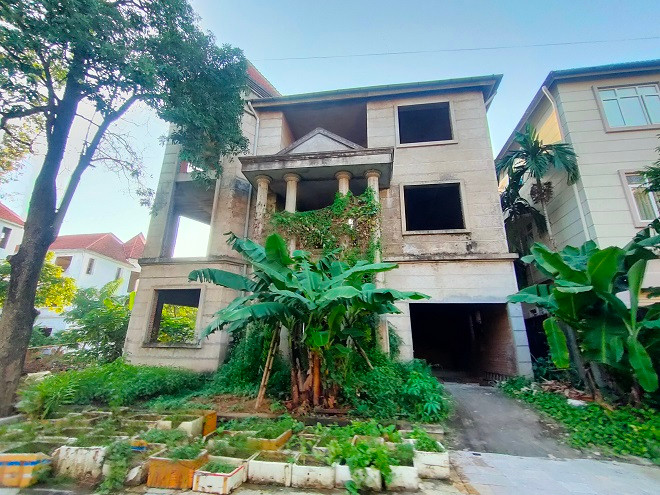 Không khó để bắt gặp những luống rau, vườn chuối tương tự như thế này được trồng khắp khu biệt thự. 