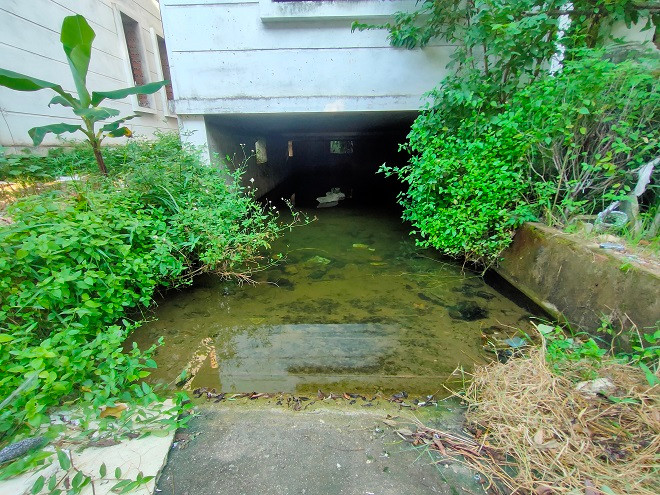 Khu vực hầm biệt thự ngập nước nặng kèm theo rác thải do đọng nước mưa nhiều ngày, bốc mùi hôi thối. 