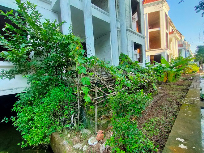 Tận dụng những "mảnh đất hoang" bên cạnh nhà, những hộ gia đình chuyển đến ở đã biến sân vườn hàng xóm thành nơi trồng rau để tăng gia. 