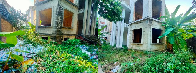 Khuôn viên bên trong một số căn biệt thự bỏ hoang. 