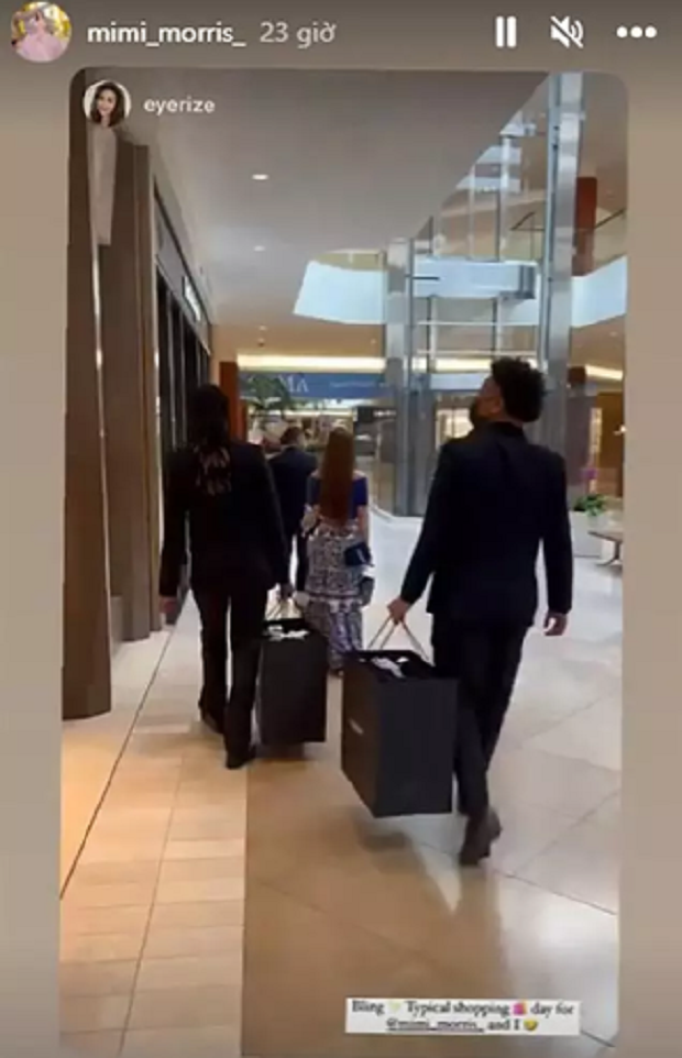 Nu ty phu Viet di sam hang hieu, mang theo 4 ve si chi de xach do-Hinh-2