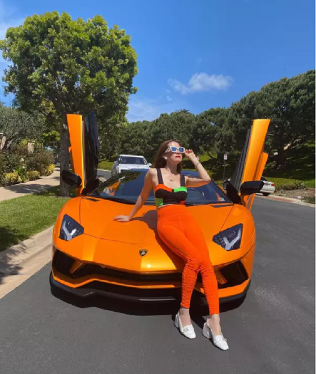 Nu ty phu Viet di sam hang hieu, mang theo 4 ve si chi de xach do-Hinh-9