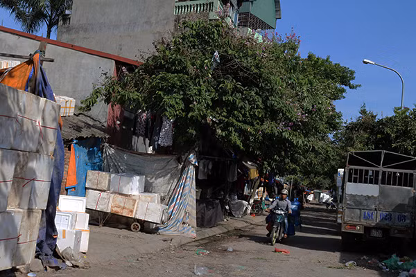 Những thùng xốp đựng hoa quả bán xếp đầy bên đường đi.