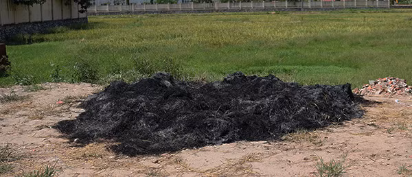 Đống rơm đã cháy thành tro sau một đêm. Người dân thường sử dụng tro để bón cho cây trồng hoặc bán với giá 10 nghìn đồng/kg.