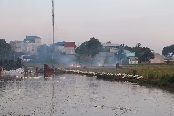 Rơm rạ được đốt ở các cánh đồng sau mùa vụ, khói rơm theo gió bay vào các ngôi làng cạnh đó. Ảnh chụp tại cánh đồng thôn Khánh Vân (xã Khánh Hà, huyện Thường Tín, TP Hà Nội)