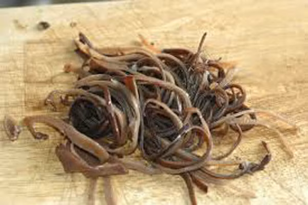 Nhung mon an giai nhiet, dieu hoa kinh nguyet-Hinh-2