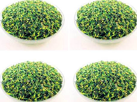 Sao tâm sen trước khi dùng. Tâm sen lại có chứa độc tính vì vậy muốn sử dụng làm thuốc trước tiên phải khử độc có trong nó rồi mới dùng vào thang thuốc. Hãy khử độc bằng cách sao tâm sen ngả màu vàng nhưng không cháy để độc tố thoát hết ra ngoài.