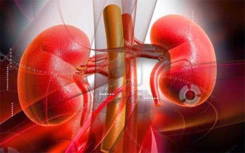 Tổn thương thận. Lượng đường trong máu cao gây tổn thương mạch thận, suy giảm chức năng thanh lọc, bài tiết trong thận.