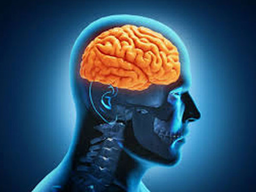 Nguy hại cho hệ thần kinh. Dư thừa quá nhiều lượng mỳ chính có thể làm tăng lượng glutamate 10%. Điều này rất có hại và nguy hiểm cho hệ thần kinh của mẹ bầu. Lượng MSG dưa thừa kích thích đến hệ thần kinh, làm mất cân bằng trong việc dẫn truyền thần kinh. Từ đó gây hại cho cơ thể mẹ bầu.