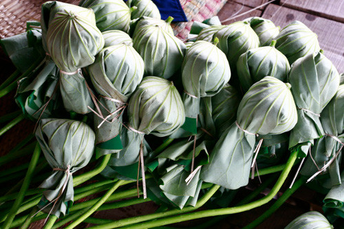 Sau khi cho trà khô vào, nhẹ nhàng vuốt lại những cánh hoa về hình dáng ban đầu. Dùng lá sen tươi cắt thành miếng lớn vừa đủ bọc bông hoa lại rồi dùng lạt buộc túm lại ở cuống hoa. Kế đến cắm hoa vào bình hoặc chậu để đến tối muộn hoặc sáng hôm sau là có thể bỏ ra dùng. Trà trong mỗi bông sen có thể pha được một ấm trà cho từ 4 đến 6 người dùng. Ảnh: bantradiennhapkhau