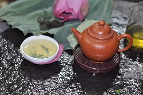 Cách ướp và pha trà sen ngon đúng kiểu Tây Hồ Cach uop va pha tra sen ngon dung kieu Tay Ho