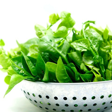 Rau mồng tơi không chỉ có vị ngọt, tính lành, không độc, có tác dụng thanh nhiệt, giải độc và nhuận tràng, mà còn có chức năng đặc biệt là chăm sóc da mụn và trị mụn hiệu quả.