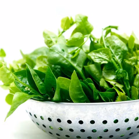 Rau mồng tơi không chỉ có vị ngọt, tính lành, không độc, có tác dụng thanh nhiệt, giải độc và nhuận tràng, mà còn có chức năng đặc biệt là chăm sóc da mụn và trị mụn hiệu quả.