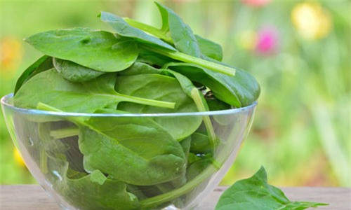 Có thể kết hợp rau mồng tơi với muối vì trong muối cũng chứa nhiều khoáng chất như kẽm, canxi và iốt, có tác dụng chống viêm, làm sạch da và ngăn ngừa vi khuẩn tích tụ, nên khi kết hợp cùng rau mồng tơi sẽ giúp làm tăng khả năng trị mụn.