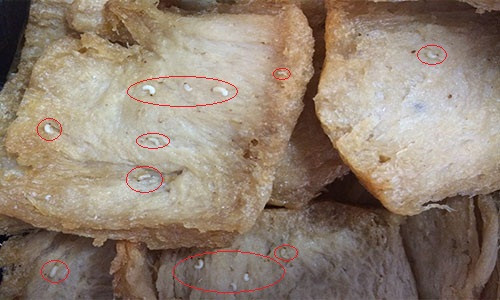 Ngày 9/6 vừa qua, một cơ sở chế biến thức ăn cho công nhân ở Bình Dương đã phát hiện giòi bò lúc nhúc trong những gói sườn non chay. Vụ việc đã giấy lên lo ngại cho người dân về sự an toàn của thực phẩm đóng gói. Sức khỏe sẽ thế nào như các loại thực phẩm có giòi bọ chui vào?