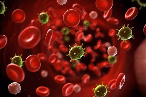 Theo bác sĩ này, có 2 dạng polyp thường gặp nhất là polyp tăng sản và polyp tuyến. Polyp tăng sản thường có kích thước nhỏ, hay gặp ở đoạn cuối đại tràng, rất ít khi trở thành ác tính. Còn polyp tuyến (adenomatous) là loại polyp bạn nên quan tâm vì không phải tất cả các polyp loại này đều phát triển thành ung thư nhưng chúng được coi là tiền ung thư.