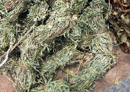 Lại có nhiều người lấy lá ngải cứu tết thành hình con giáp của năm ấy, như năm Tý thì tết thành hình con chuột, năm Sửu tết hình con trâu... treo ở giữa cửa để trừ ma quỷ, sau này ai có bệnh đau bụng thì dùng chính thứ lá này làm thuốc sắc uống. Ảnh: Internet.