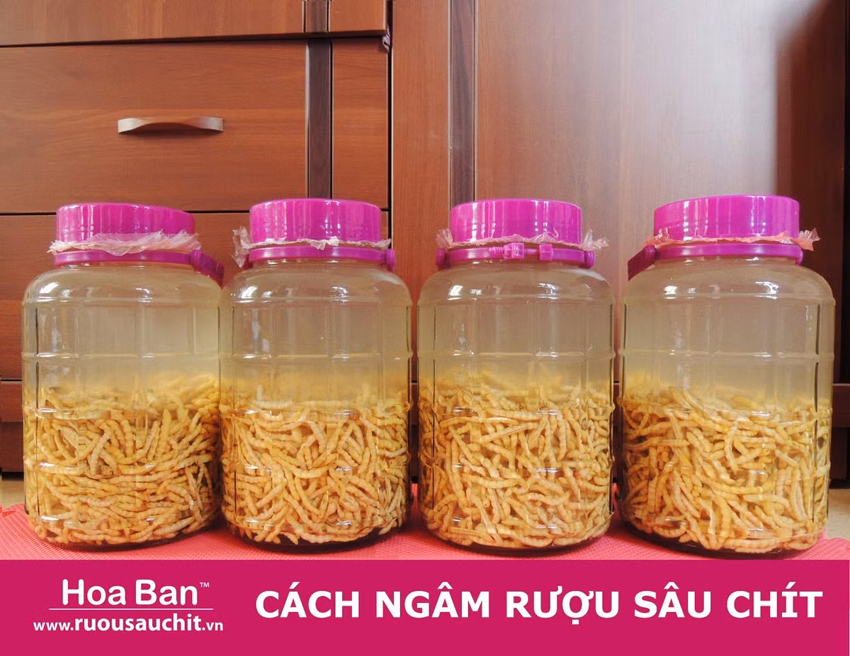 Người lớn thì uống rượu để sâu bọ bị... say, “sốc” rượu mà chết, rồi bôi phẩm vào thóp đầu, vào ngực, vào rốn... để trừ trùng. Ảnh: ytimg.com.