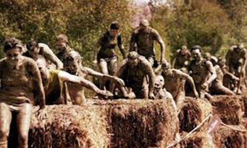 Có thể, các vận động viên đã ăn phải bùn nhiễm virus trong quá trình chạy. Vì một số vận động viên kêu ca rằng ngửi thấy mùi phân ngựa trong bùn.