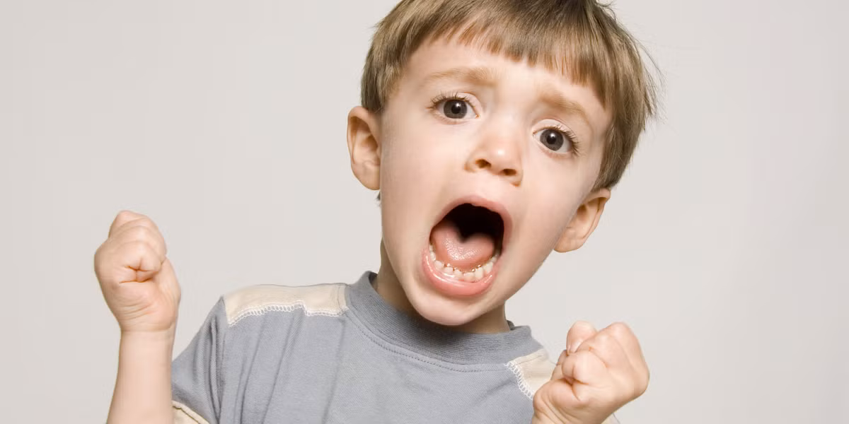 Khi trẻ 2-3 tuổi là giai đoạn “khủng hoảng” đối với các bậc cha mẹ trong việc dạy con. Đây là lúc trẻ muốn thể hiện bản thân mình rõ rệt nhất, muốn tự mình quyết định và sẵn sàng phản ứng lại mọi lời chỉ bảo của phụ huynh. Ảnh minh họa: Internet.