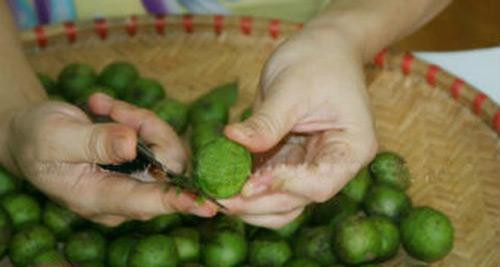 Chữa nhiệt miệng. Quả sấu cũng được sử dụng làm thuốc trị nhiệt miệng. Lấy từ 4 - 6g cùi quả sấu khô đem sắc với 2 bát nước còn nửa bát, uống sau bữa ăn sáng. Hoặc 8g cùi quả sấu hãm với nước sôi uống trong ngày. Dùng trong một tuần liền. Hoặc có thể lấy quả sấu chín đem dầm với muối hay đường ăn trong ngày. Ảnh: tingiamcan