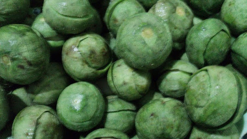 Giải rượu. Khi bị say rượu, có thể lấy 4 - 6g cùi quả sấu sắc lấy nước uống hoặc hãm với nước sôi uống. Vị chua của sấu có tác dụng giải say rượu hiệu quả. Ảnh: blogspot