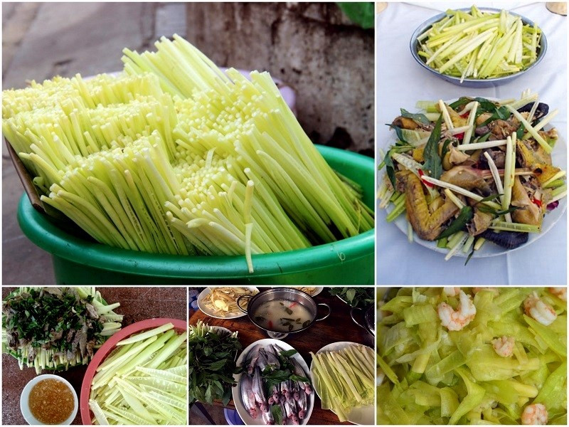 Ngoài ra, còn có món rau năn xào với phương thức chế biến rất phong phú: Năn xào thịt trâu, năn xào măng tây hay măng vòi, năn xào thịt vịt, năn xào gà đất, năn xào nghêu,… (Ảnh: Sưu tầm).