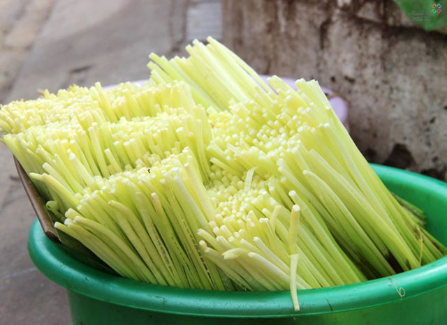 Ở Việt Nam, cây năn phát triển mạnh ở các vùng ven sông nước đồng bằng sông Cửu Long, đặc biệt nhất là ở Bạc Liêu và Sóc Trăng. (Ảnh: Sưu tầm).