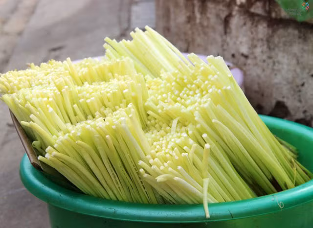 Ở Việt Nam, cây năn phát triển mạnh ở các vùng ven sông nước đồng bằng sông Cửu Long, đặc biệt nhất là ở Bạc Liêu và Sóc Trăng. (Ảnh: Sưu tầm).