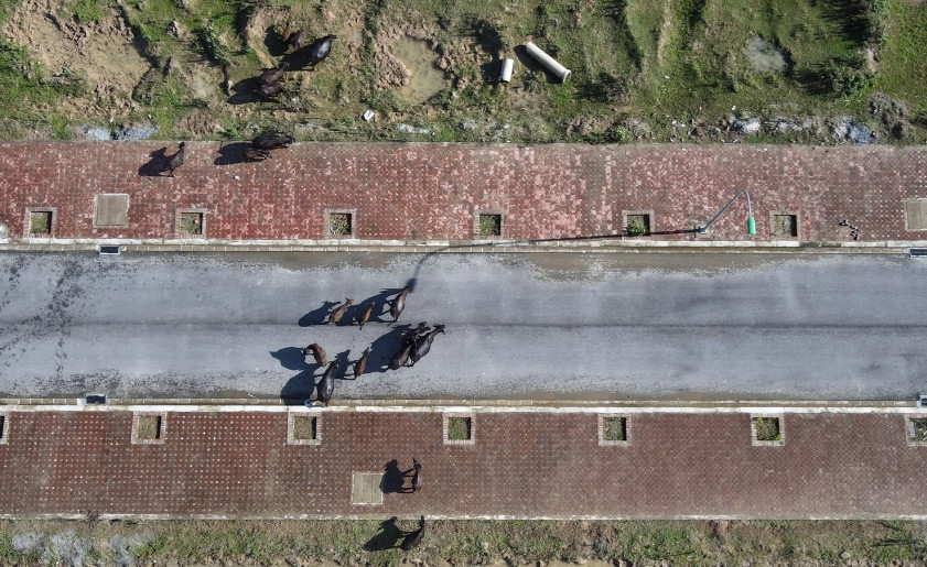 Trong phân khu này lác đác có thông tin rao bán đất. Giá bán của một lô đất có diện tích 60m2, mặt tiền 5m, sâu 12m được rao chuyển nhượng là 1,7 tỷ đồng. Một lô đất khác có diện tích 75m2 cũng đang được rao bán với giá 2,2 tỷ đồng. (Ảnh: Dân Trí).