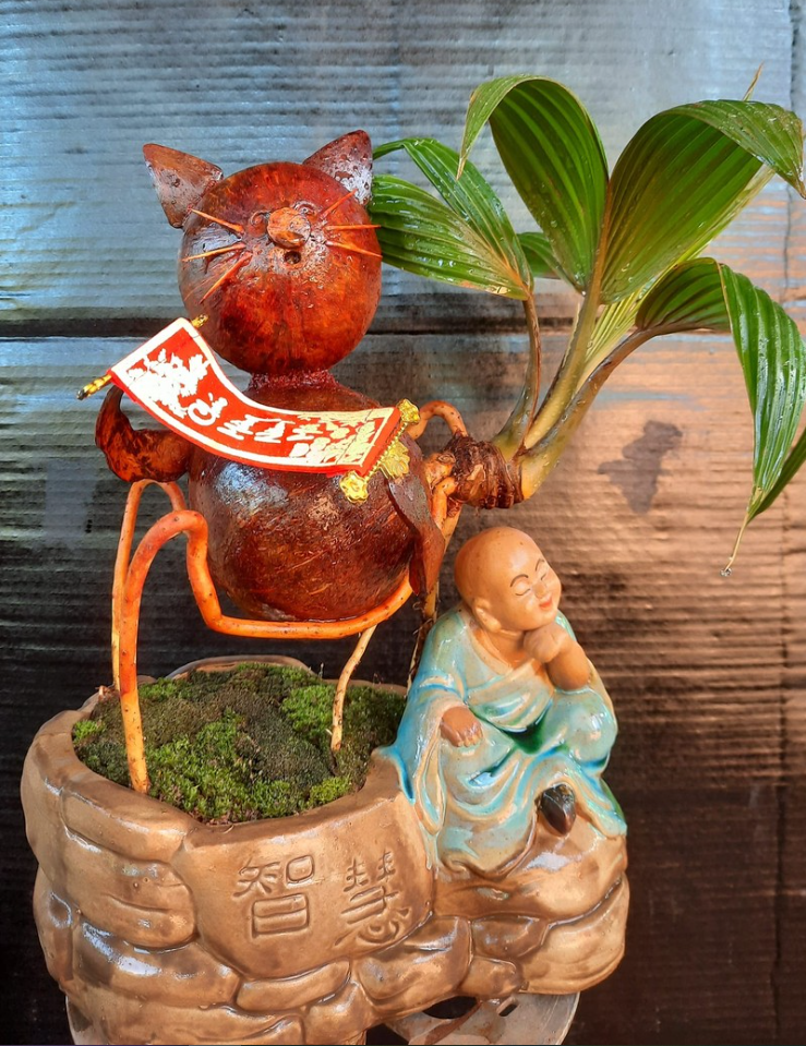 Nguyên liệu chính tạo ra sản phẩm dừa bonsai hình mèo là những trái dừa. (Ảnh: Thương hiệu &amp; Sản phẩm).