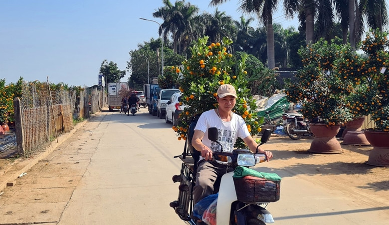 Theo một số xe ôm chuyên chở cây cảnh, càng cận Tết nhu cầu thuê chở càng cao, một ngày không đếm xuể số chuyến chở quất. Nếu làm việc hết công suất trong khoảng thời gian ngắn này có thể thu nhập lên vài chục triệu đồng.