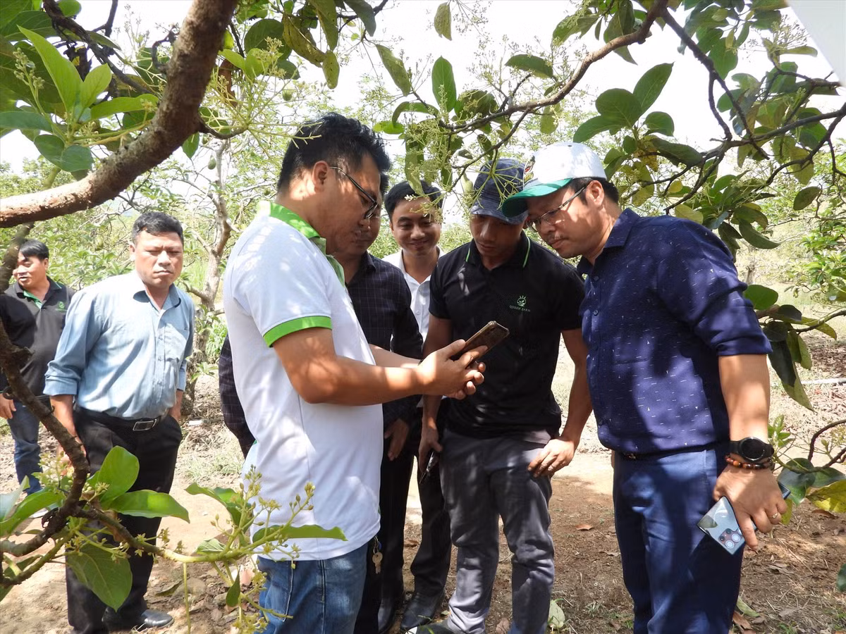 CEO Dang Duong Minh Hoang: Nguoi tien phong so hoa nong nghiep toi tung cay trong-Hinh-4