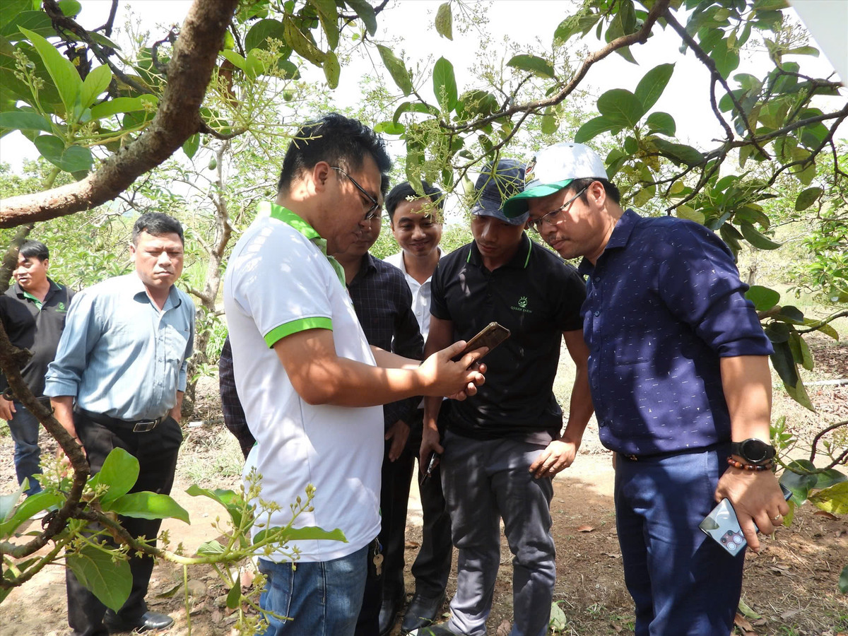 CEO Dang Duong Minh Hoang: Nguoi tien phong so hoa nong nghiep toi tung cay trong-Hinh-4