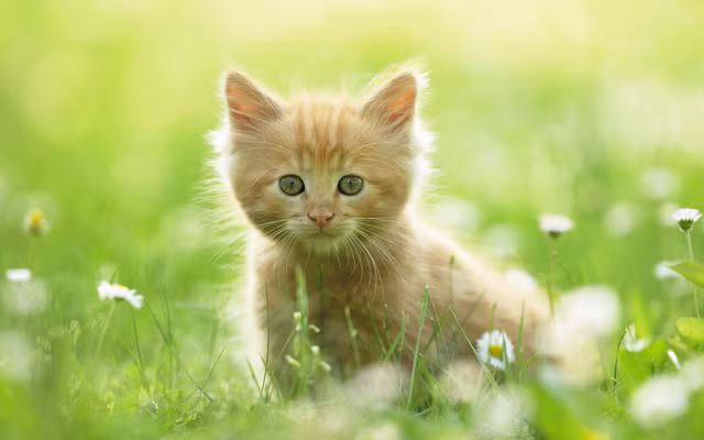 Du tieu xai tha ga nhung 3 con giap nay van giau sang bat chap, tien chat day nha