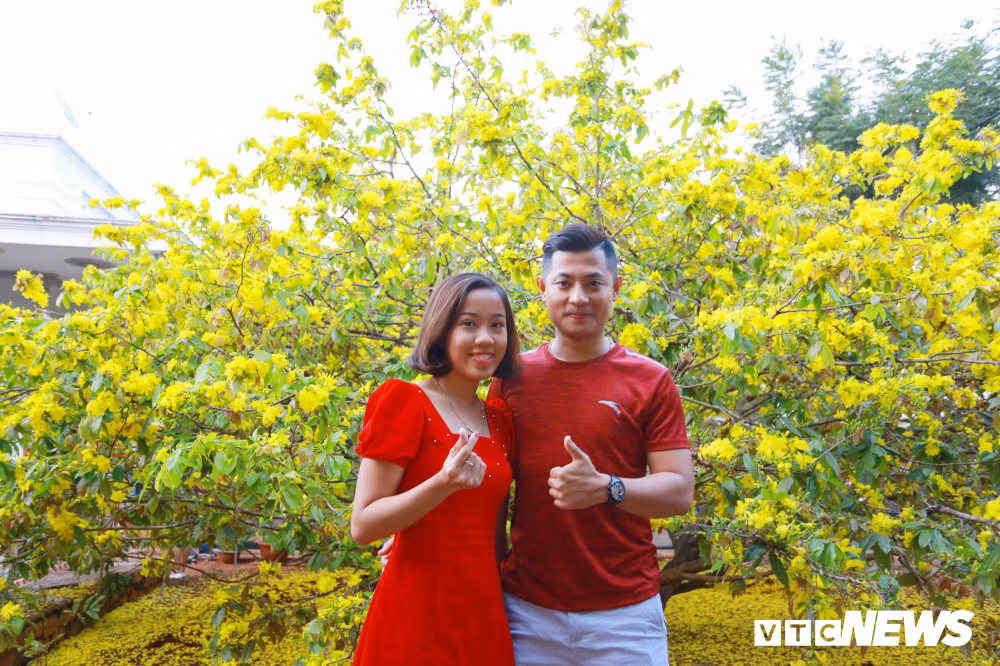 Đôi bạn trẻ lưu giữ sắc đỏ ngày đầu xuân bên sắc vàng của "cụ mai".